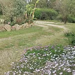בית הארחה Serraona 3*