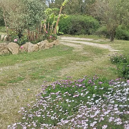 Maison d'hôtes Serraona 3*